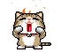 小猫很生气