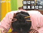 我错了，我真的错了