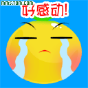 好感动