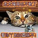 老大，我再也不敢了