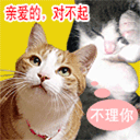 亲爱的，我对不起你