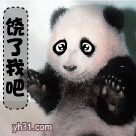 熊猫求饶