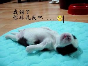 我错了，你来非礼我吧