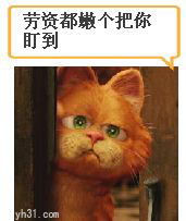 老子就愣个把你盯到