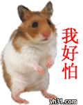 我好怕怕