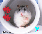 我很怕怕