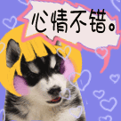 心情不错