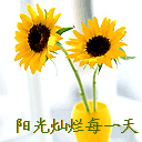 阳光灿烂的每一天