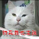 打死我也不说