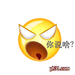 你说啥？