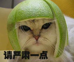 请你严肃一点