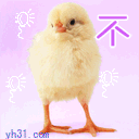 不理你