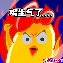鸡生气了