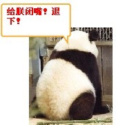 给朕闭嘴，退下