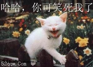 你可笑死我了