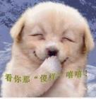 看你那傻样，嘻嘻