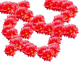 好的