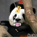 熊猫晕了