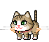 转晕倒的小猫