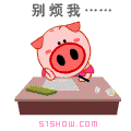 别来烦我