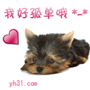 我好孤单哦