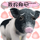 我好郁闷