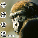 这是什么世道