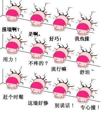 集体撞墙，流行中