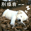 表来烦我