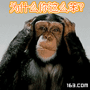 为什么你这么笨