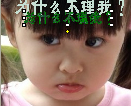 为什么不理我