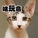 让我瞧瞧是啥玩意