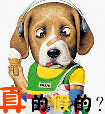 有点迷糊的狗狗