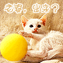 老婆，出来