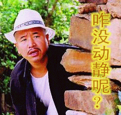 咋没动静呢