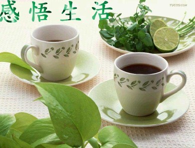 感悟生活，茶香人生