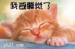 我要睡觉了