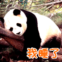 我睡了