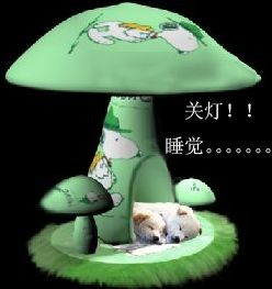 关灯，睡觉了