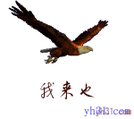 我来也