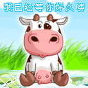 我已经等你很久了