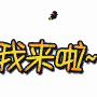 我来啦