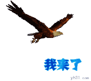 我飞来了
