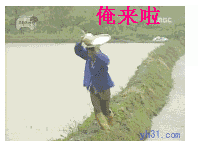 俺来啦
