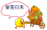 偷菜归来