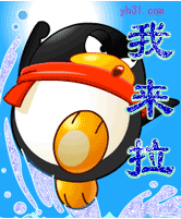 我来啦