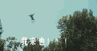 我从天而降