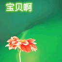 宝贝啊，俺来了