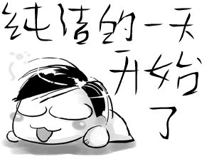 纯洁的一天开始了