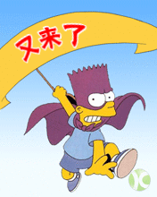 我又飞来了